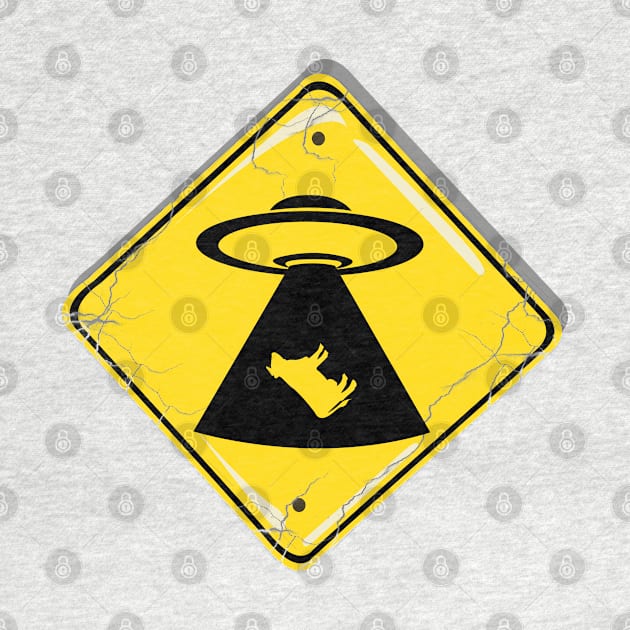 Cosmic Crossing: UFO Abduction Zone No 2 by Fun Funky Designs